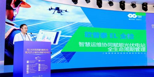 海上光伏高質(zhì)量發(fā)展研討會暨2025上海市太陽能學(xué)會年會順利召開 科技推廣與應(yīng)用服務(wù)的新篇章